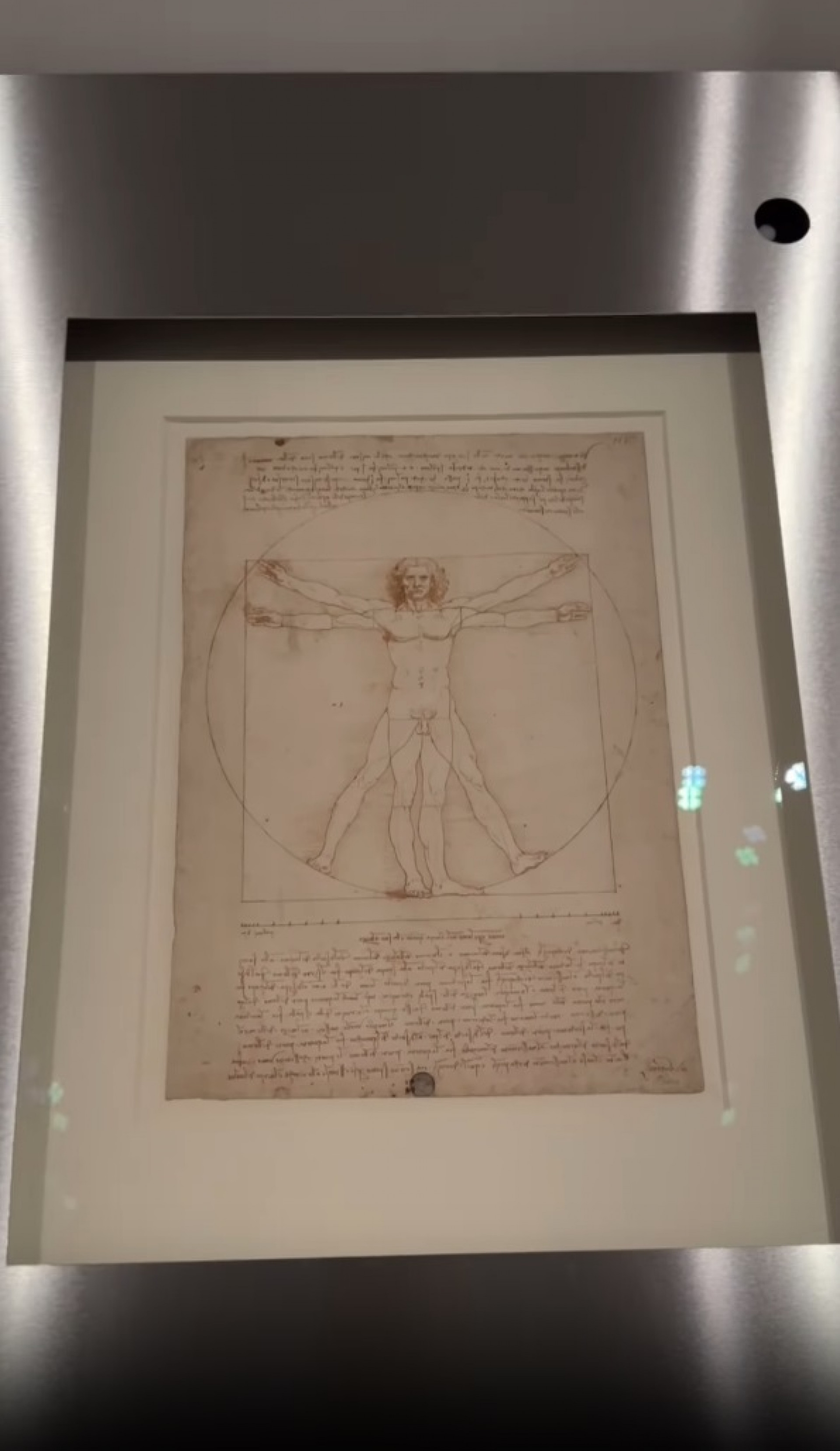 'O Homem Vitruviano' est&aacute; exposto na Galeria da Academia de Veneza, It&aacute;lia - Reprodu&ccedil;&atilde;o / Instagram