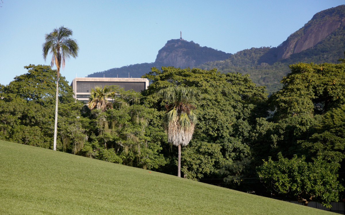 Frio na Quinta da Boa da Vista, nesta sexta-feira (13)
