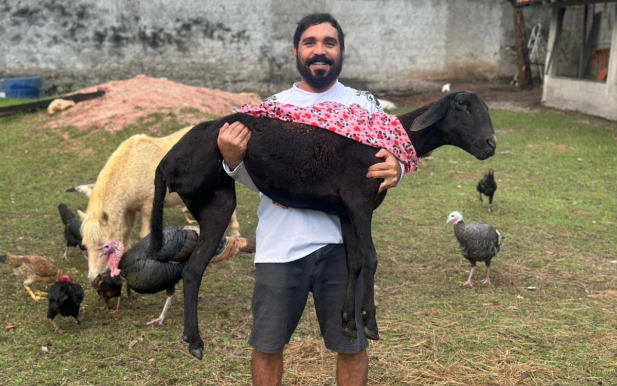 Pablo Roffe segura nos braços a ovelha Rita Lee, que não dispensa um colo 