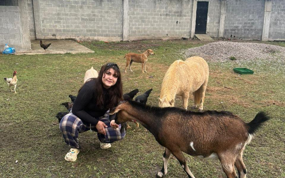Bruna com a cabra Mari, o pônei Sonho, galinhas e o cãozinho Caramelo Fazendeiro