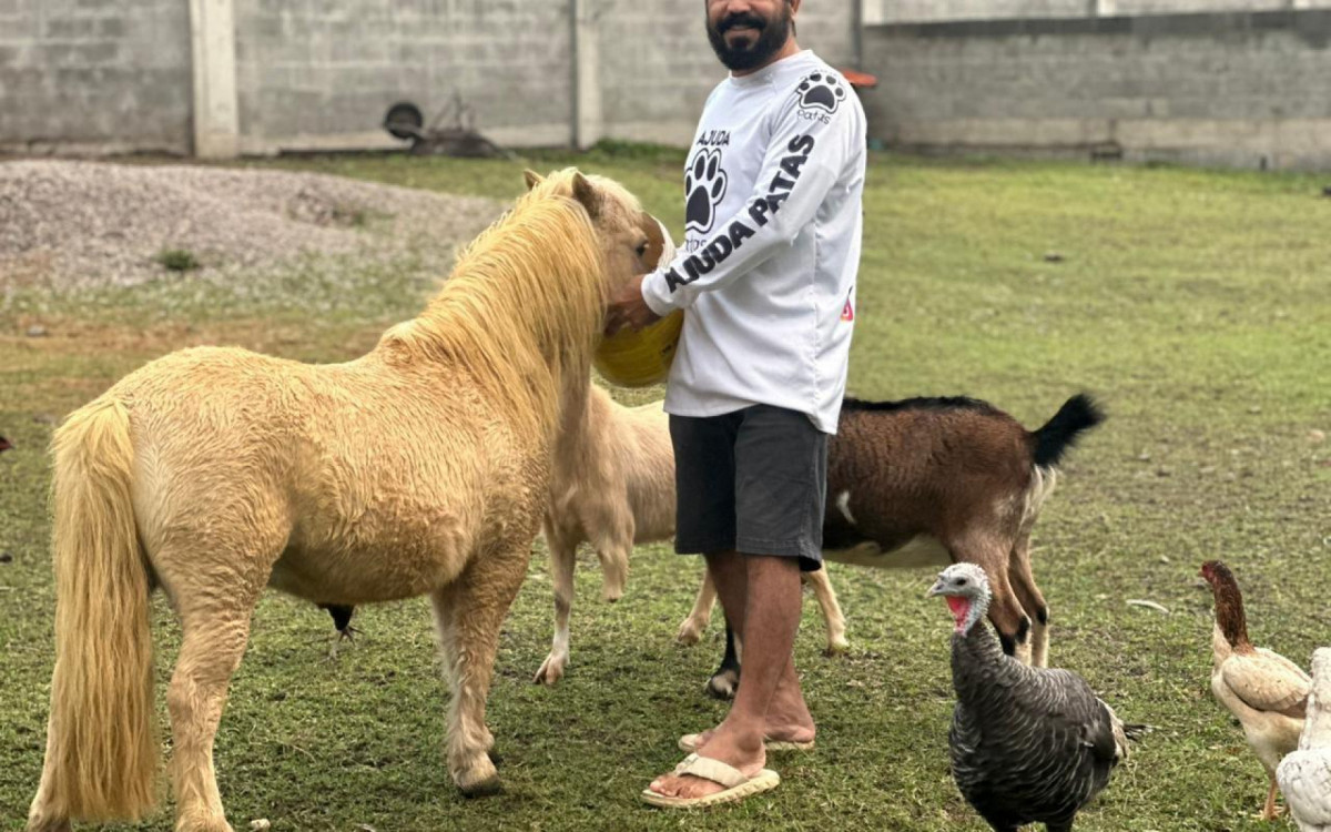 Pablo brinca com o pônei Sonho, cercado pela cabra Mari e a perua Yumi