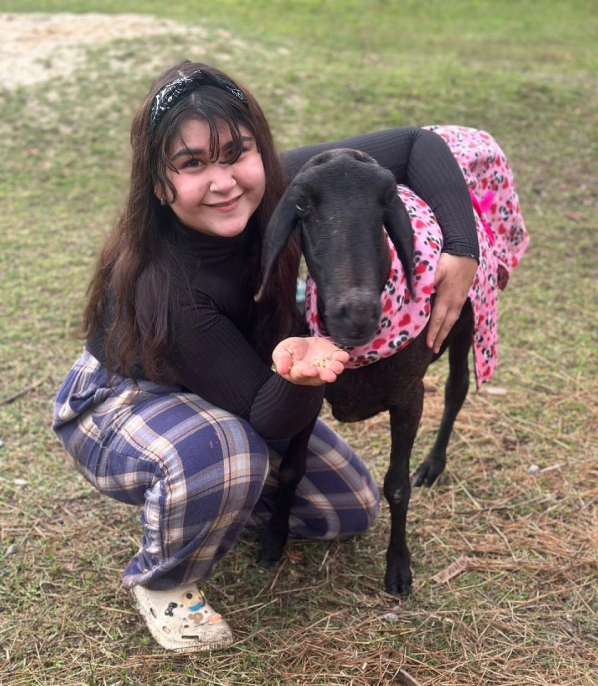 Bruna faz um carinho na Rita Lee, de 10 anos, uma simpática ovelha negra de 3 patinhas
