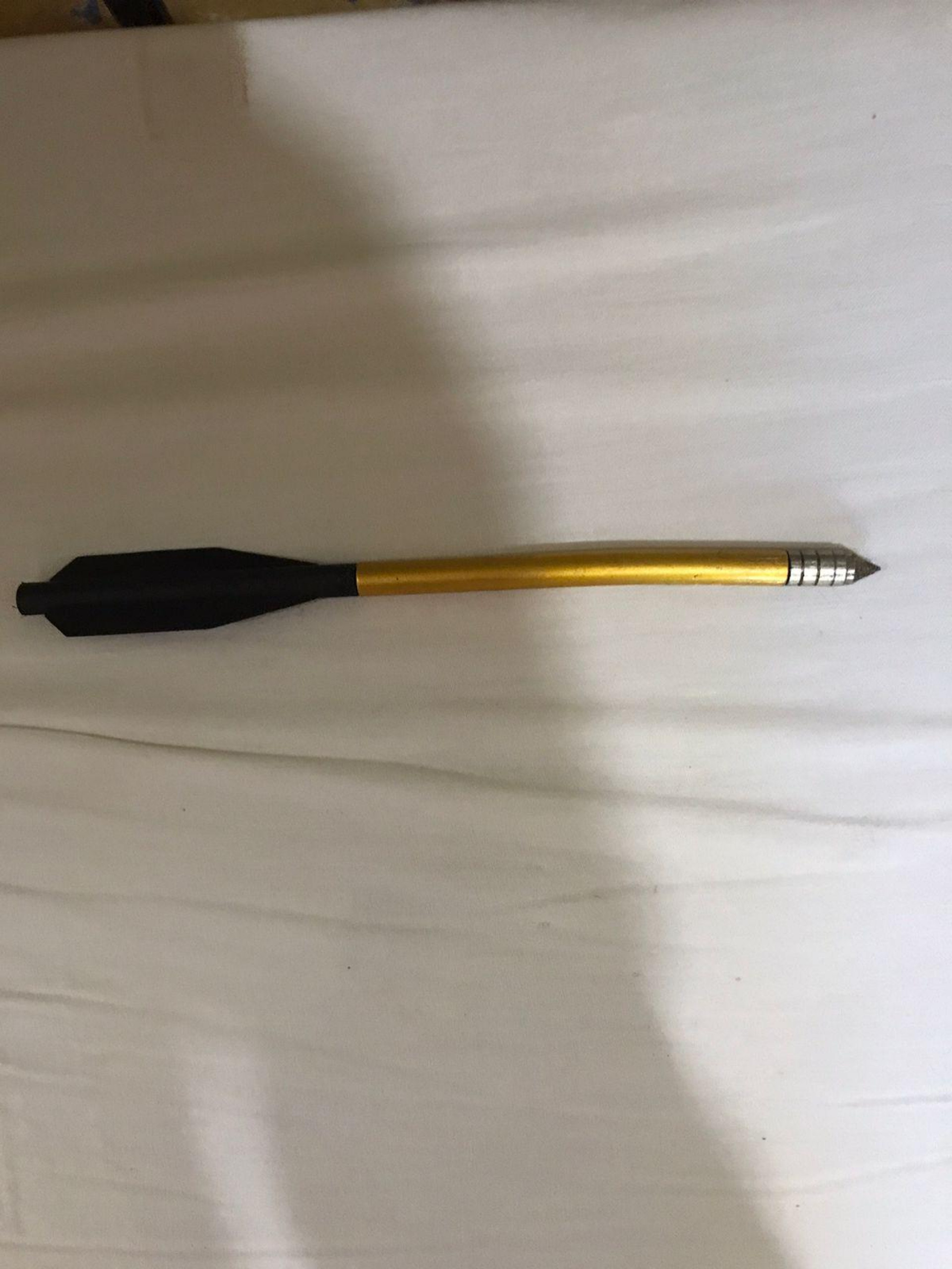 Cadela foi atingida nas costas com uma flecha - Reprodução