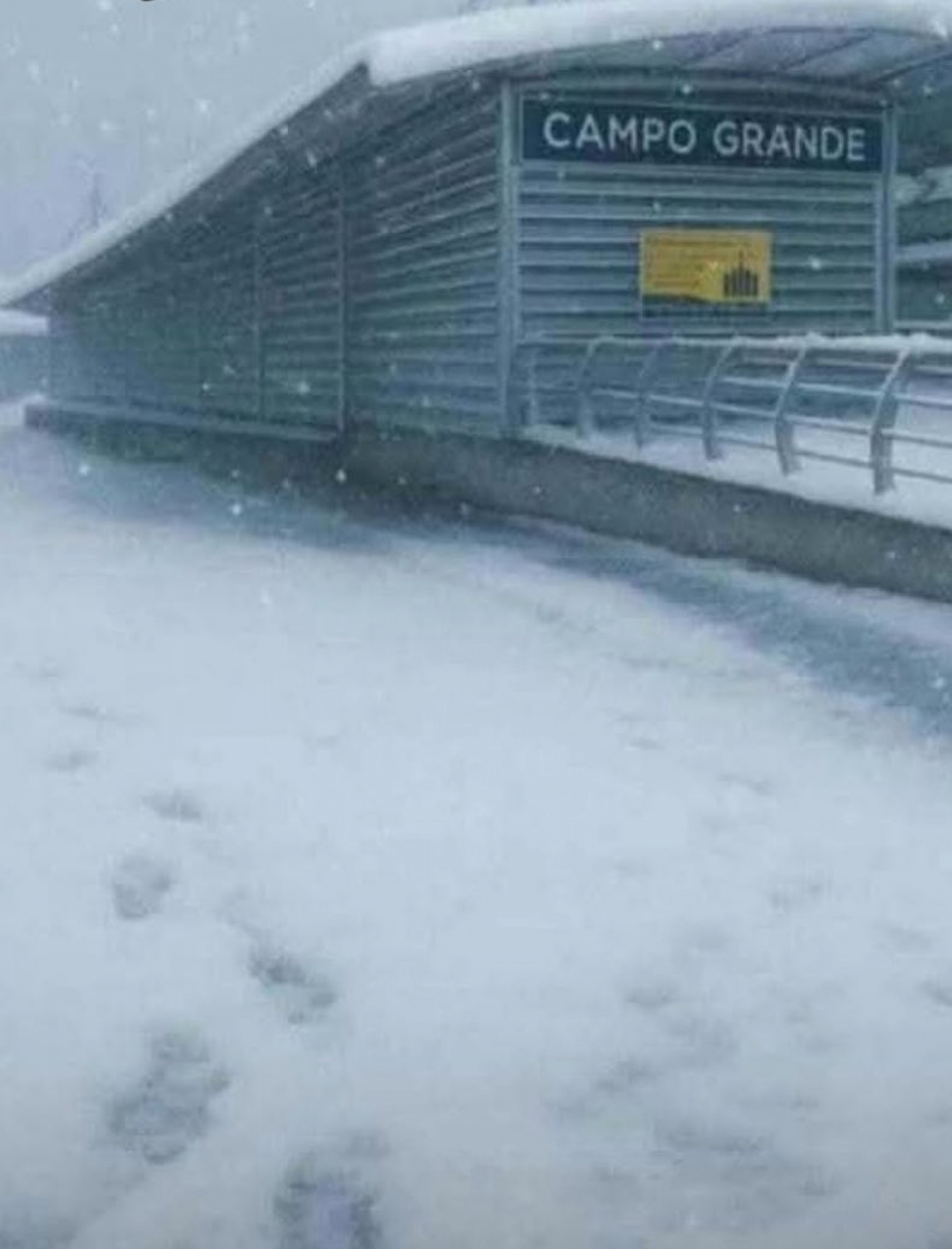 Cariocas brincam e fazem nevar no Rio de Janeiro - Reprodução