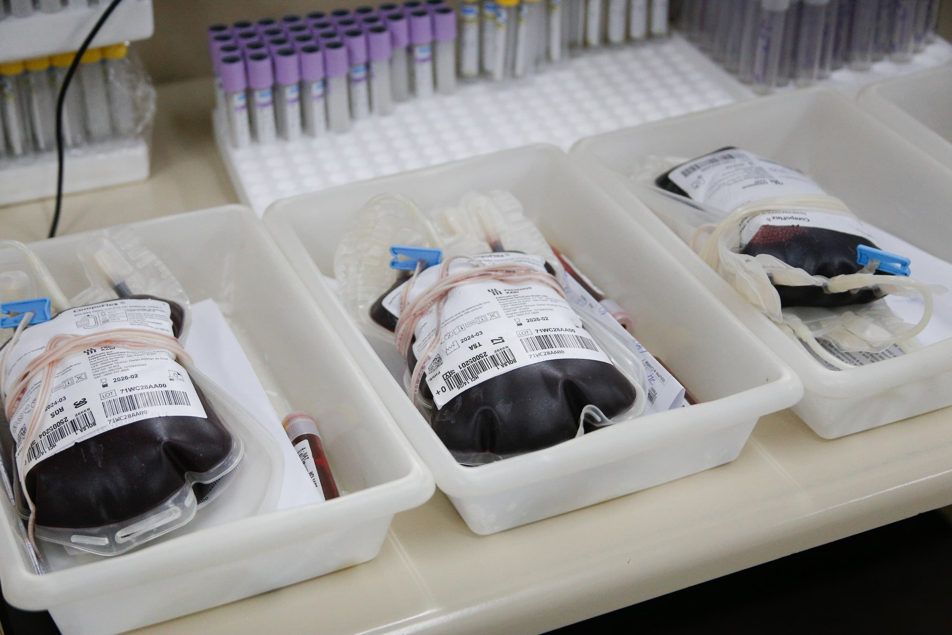 Uma grande preocupação do Instituto é a doação contínua de plaquetas - Érica Martin/ Agência O Dia