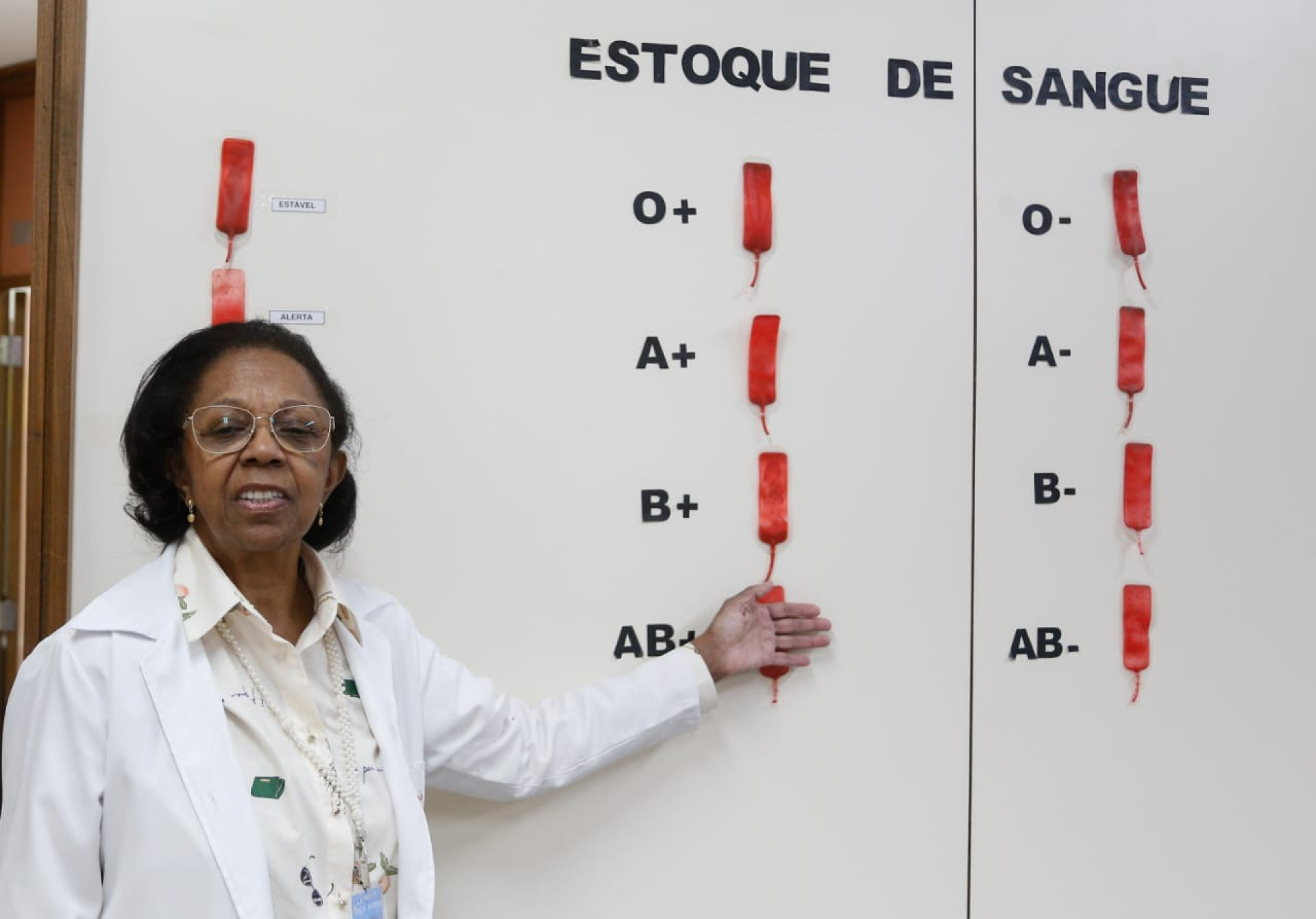 Dra. Iara Motta fez um apelo para doarem sangue - Érica Martin/ Agência O Dia