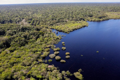 Fundo Amazônia bate recorde ao destinar mais de R$ 1 bilhão em 2025