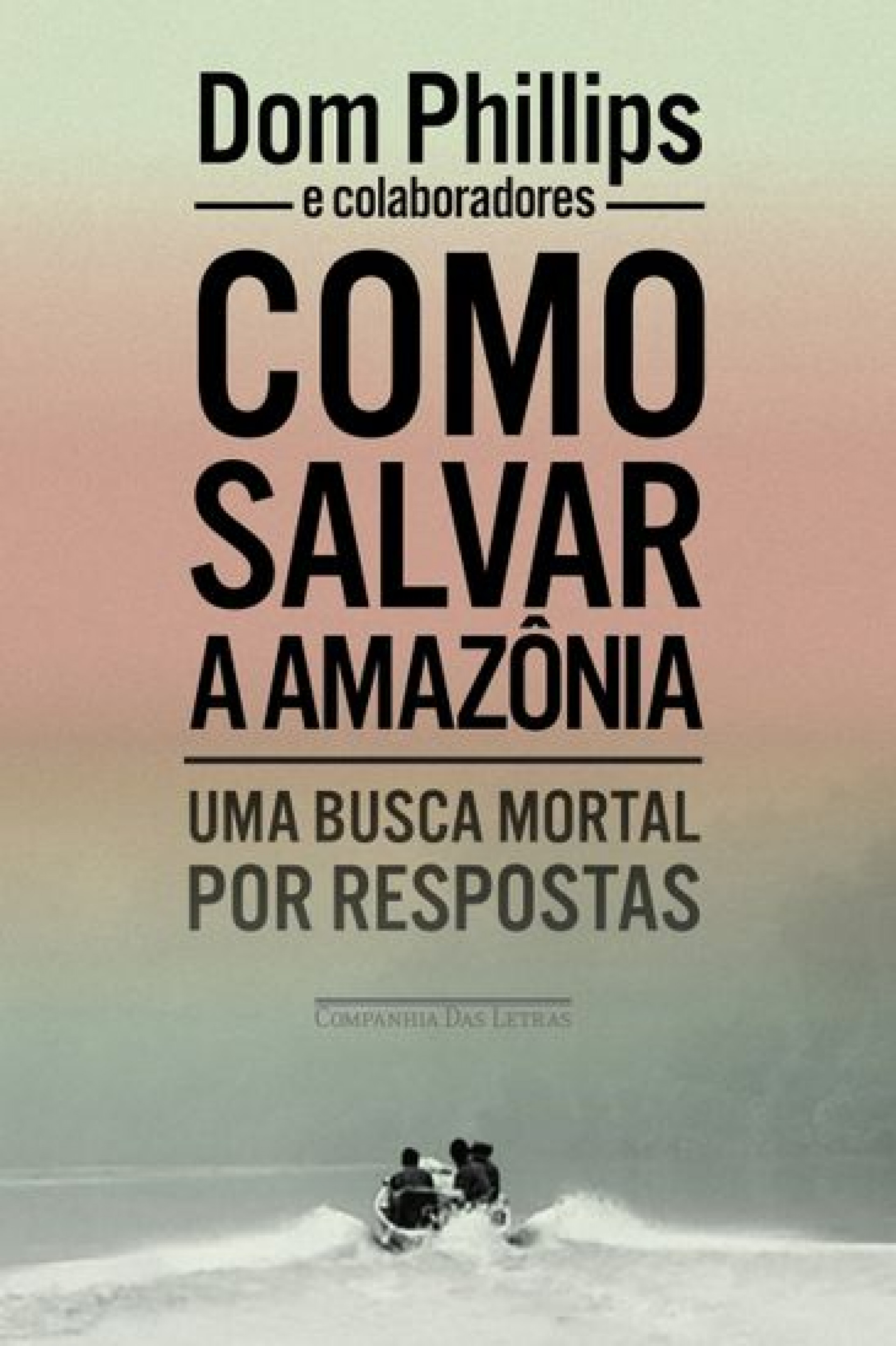 Capa do livro Como salvar a Amazônia