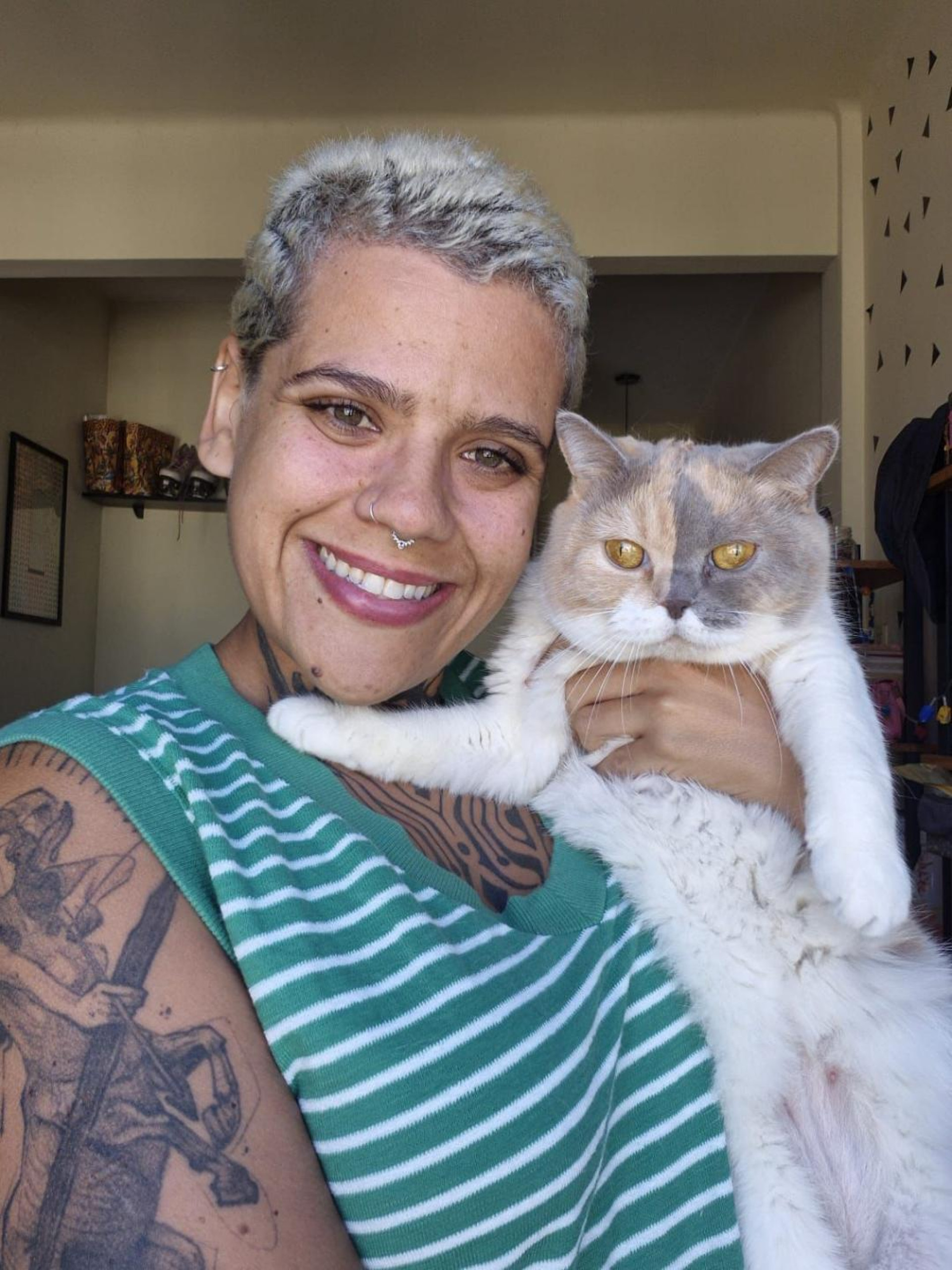 A gata Alicia, que tem a cat sister Ana Lídia como tutora, é castrada