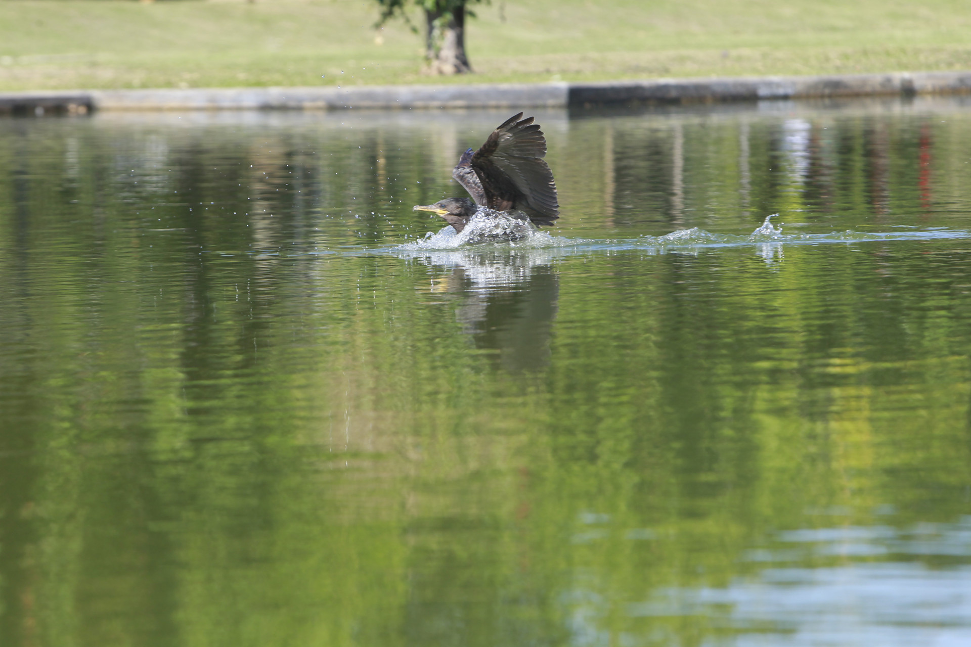 Rio teve tempo est&aacute;vel neste s&aacute;bado (21), primeiro dia do inverno - Reginaldo Pimenta/Ag&ecirc;ncia O Dia