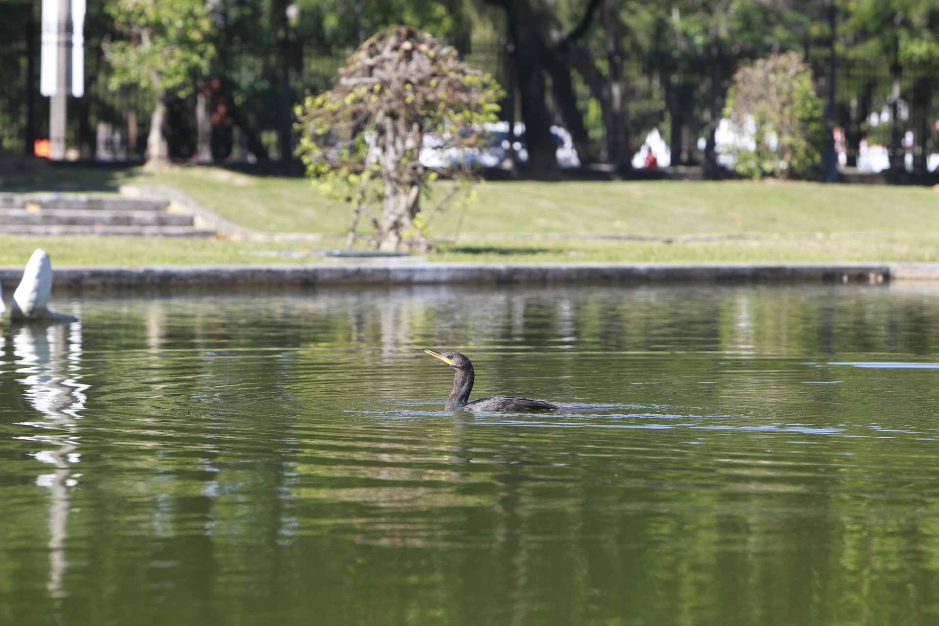 Rio teve tempo est&aacute;vel neste s&aacute;bado (21), primeiro dia do inverno - Reginaldo Pimenta/Ag&ecirc;ncia O Dia