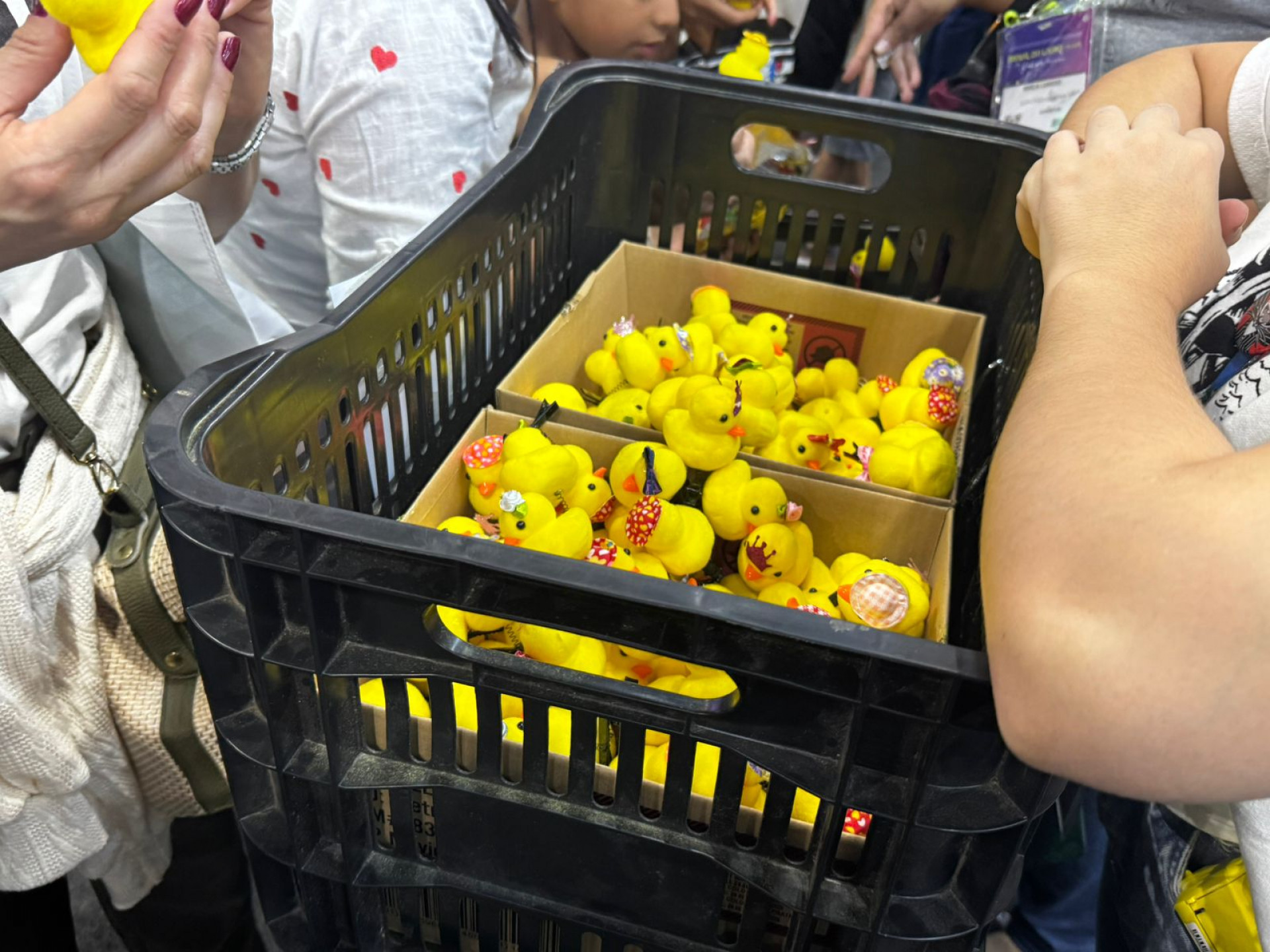 Os 'patos literários' foram uma febre da Bienal - Gabriel Salotti / Agência O Dia