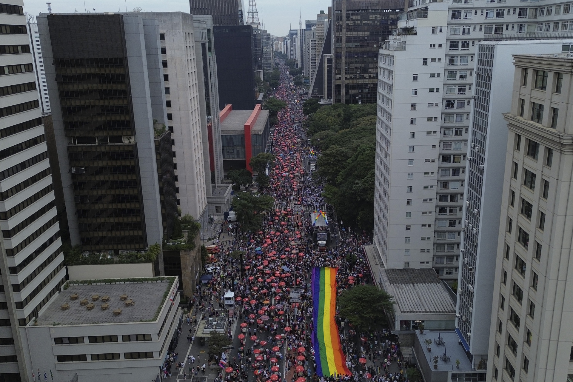 SP: 29ª Parada do Orgulho LGBT+ celebra o envelhecimento - AFP