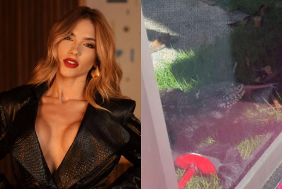 Virginia Fonseca leva susto após lagarto invadir mansão em Goiânia