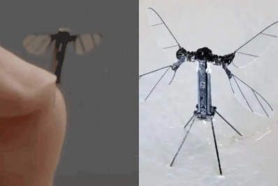 Cientistas chineses desenvolvem 'drone mosquito' para ações militares