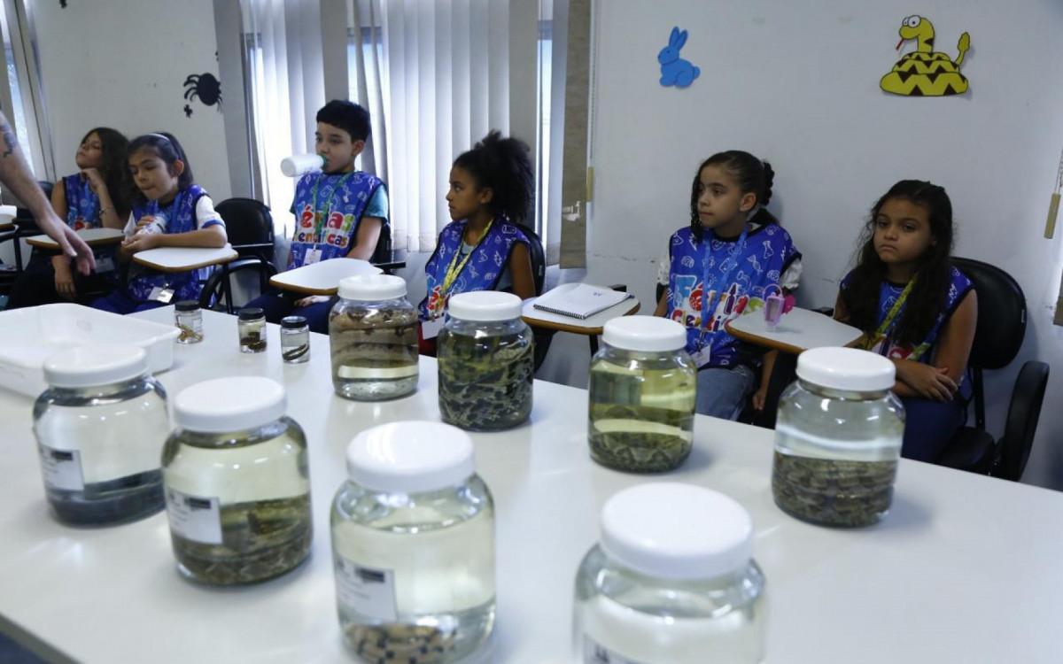 Ávidas por conhecimento, crianças prestam atenção nas aulas