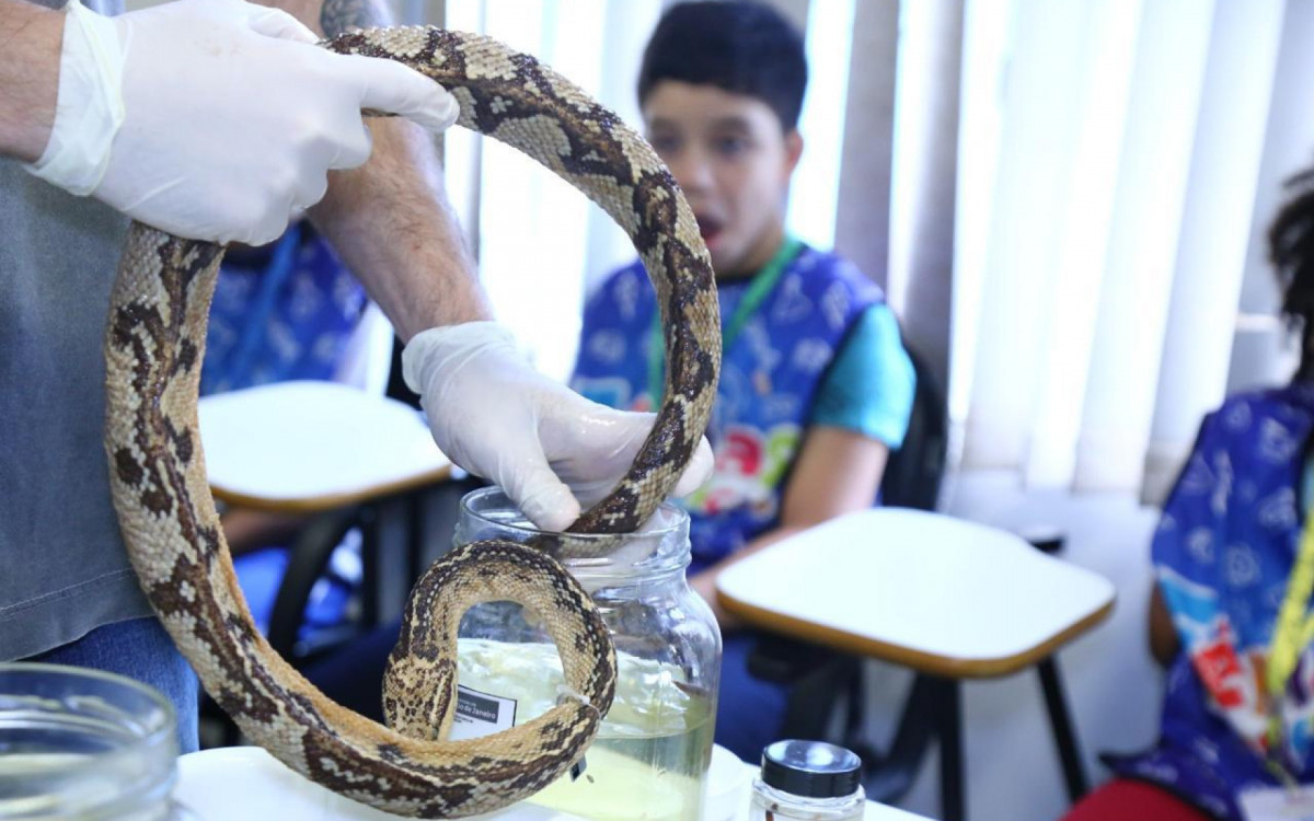 Os répteis geralmente despertam muita curiosidade entre os alunos 