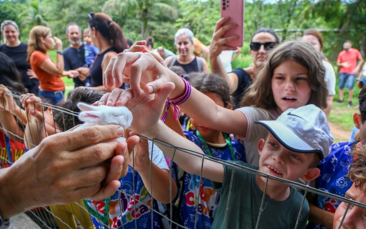 Filhote de coelho ganha atenção e carinho dos visitantes na fazenda