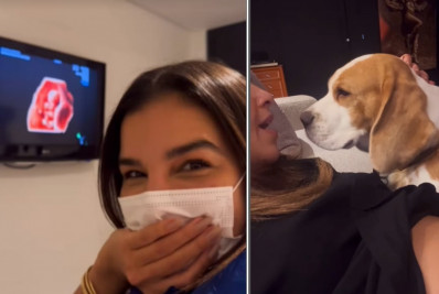 Mariana Rios mostra ultrassom do primeiro filho e chamego de cachorro