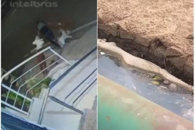 Vídeo: Homem invade loja, arrasta manequins pela rua e depois joga dentro de rio no ES