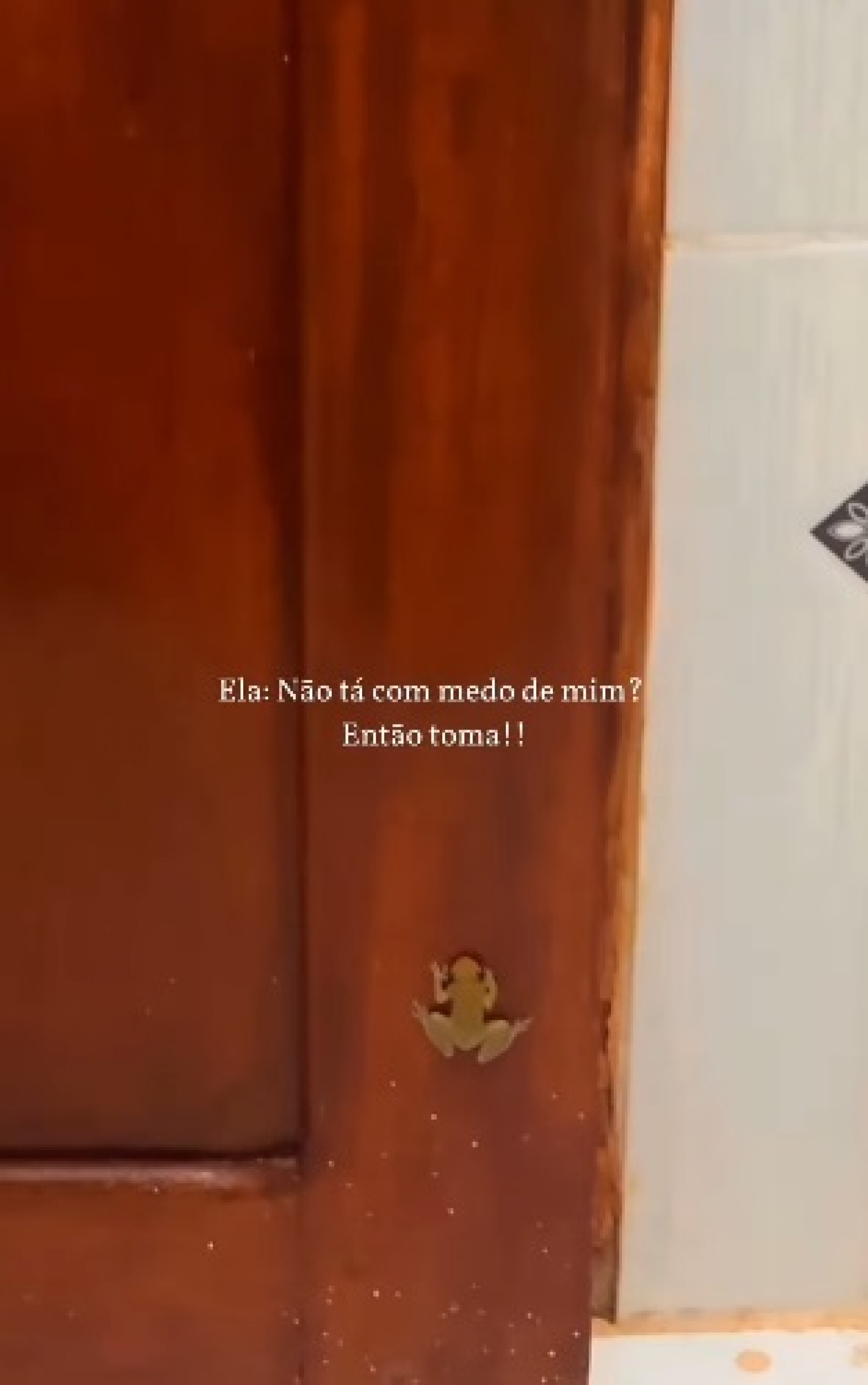 Uma perereca invadiu o banheiro de Sheron Menezzes - Reprodução/Instagram