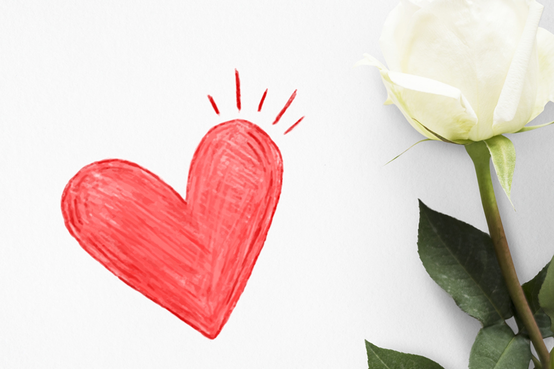 Red heart on a valentines day card