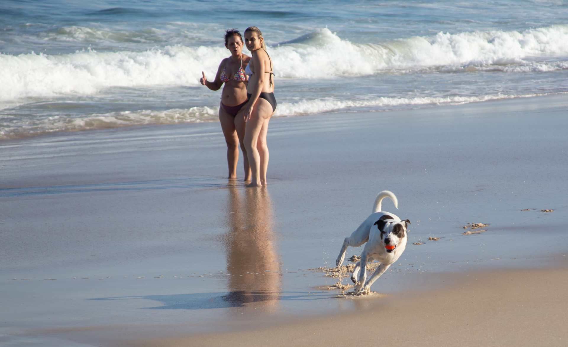 Cariocas e turistas aproveitaram dia ensolarado para visitar Praia de Copacabana, na Zona Sul - Érica Martin / Agência O Dia