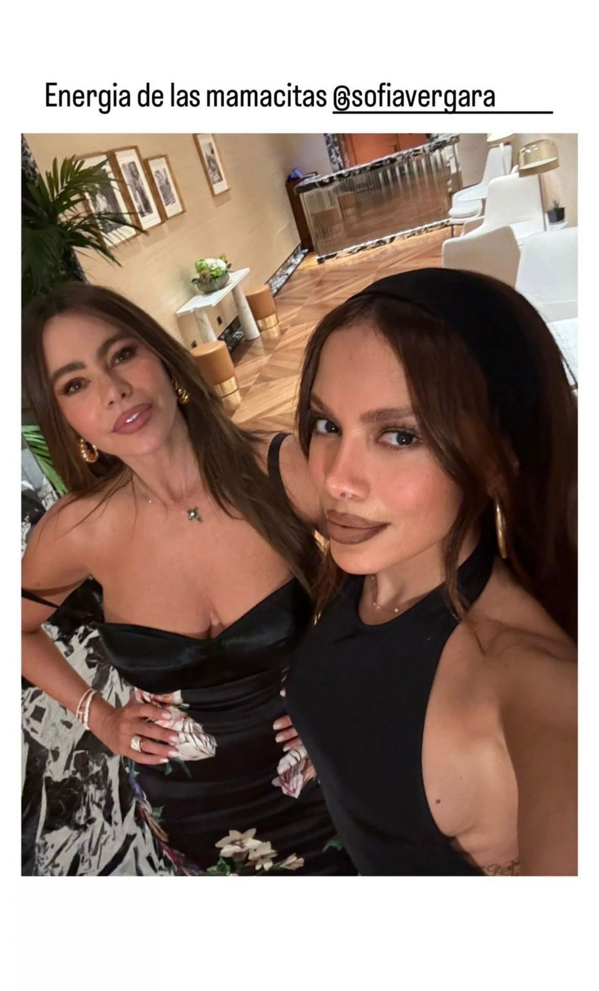 Anitta e Sofia Vergara - Reprodução/Instagram