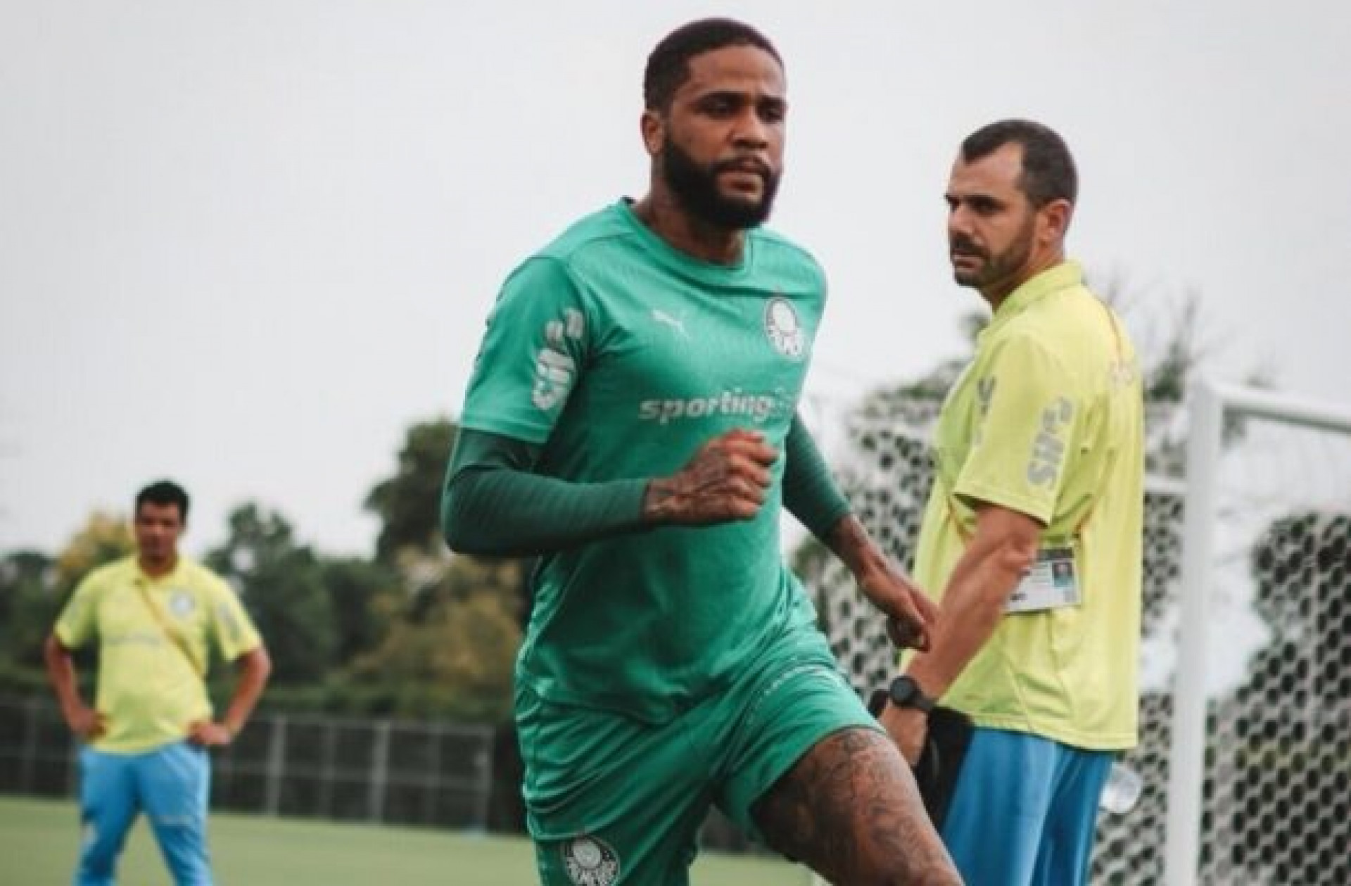 Palmeiras inicia prepara&ccedil;&atilde;o para duelo contra o Chelsea pelo Mundial