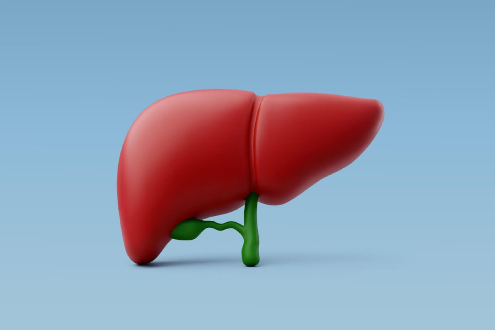 A gordura no f&iacute;gado pode ser prejudicial para a sa&uacute;de (Imagem: Thx4Stock team | Shutterstock)