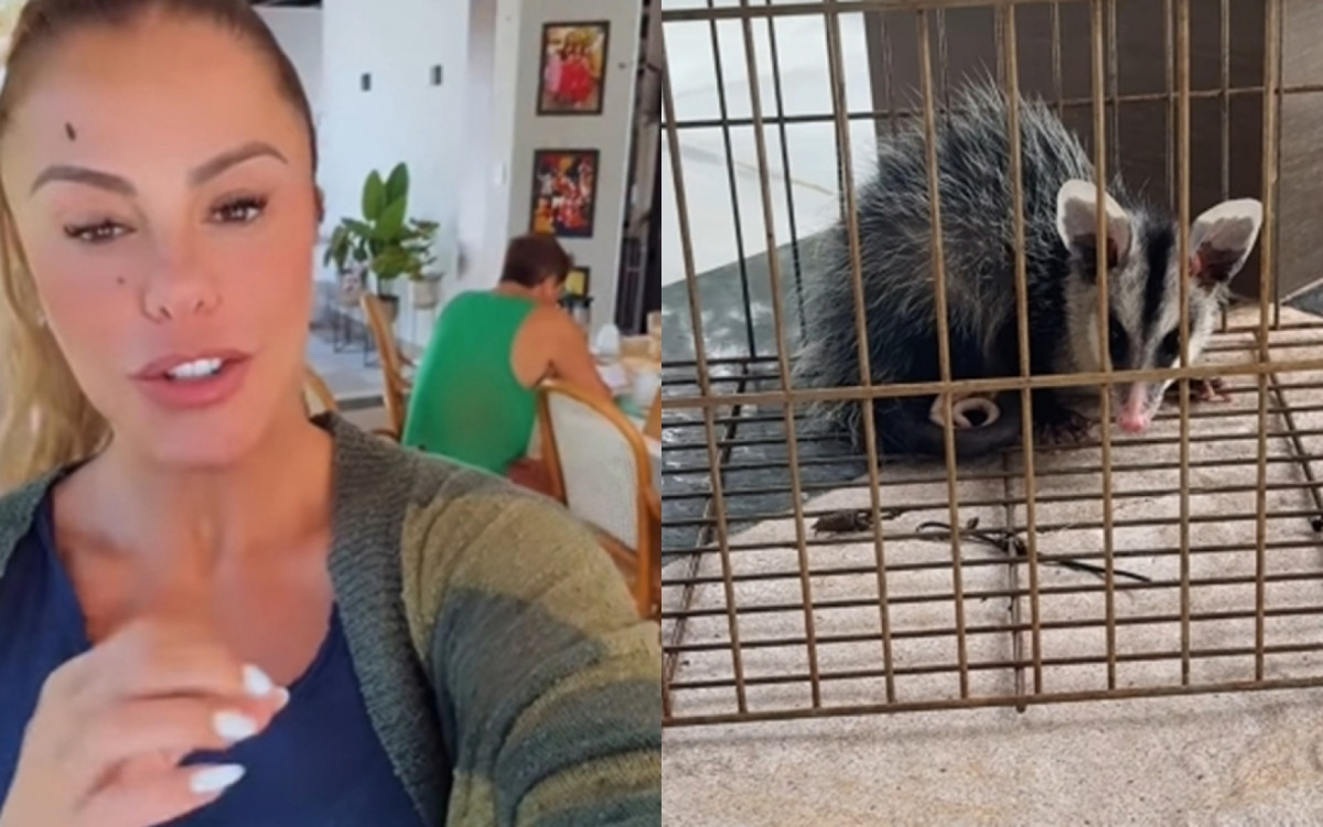 Ela mostrou o bicho nos stories do Instagram