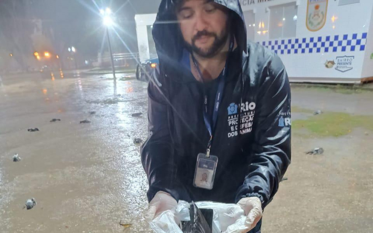 Caso aconteceu no Largo da Gl&oacute;ria, na regi&atilde;o central do Rio