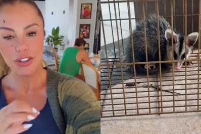 Poliana Rocha revela ter tido casa invadida por animal: 'Arapuca'