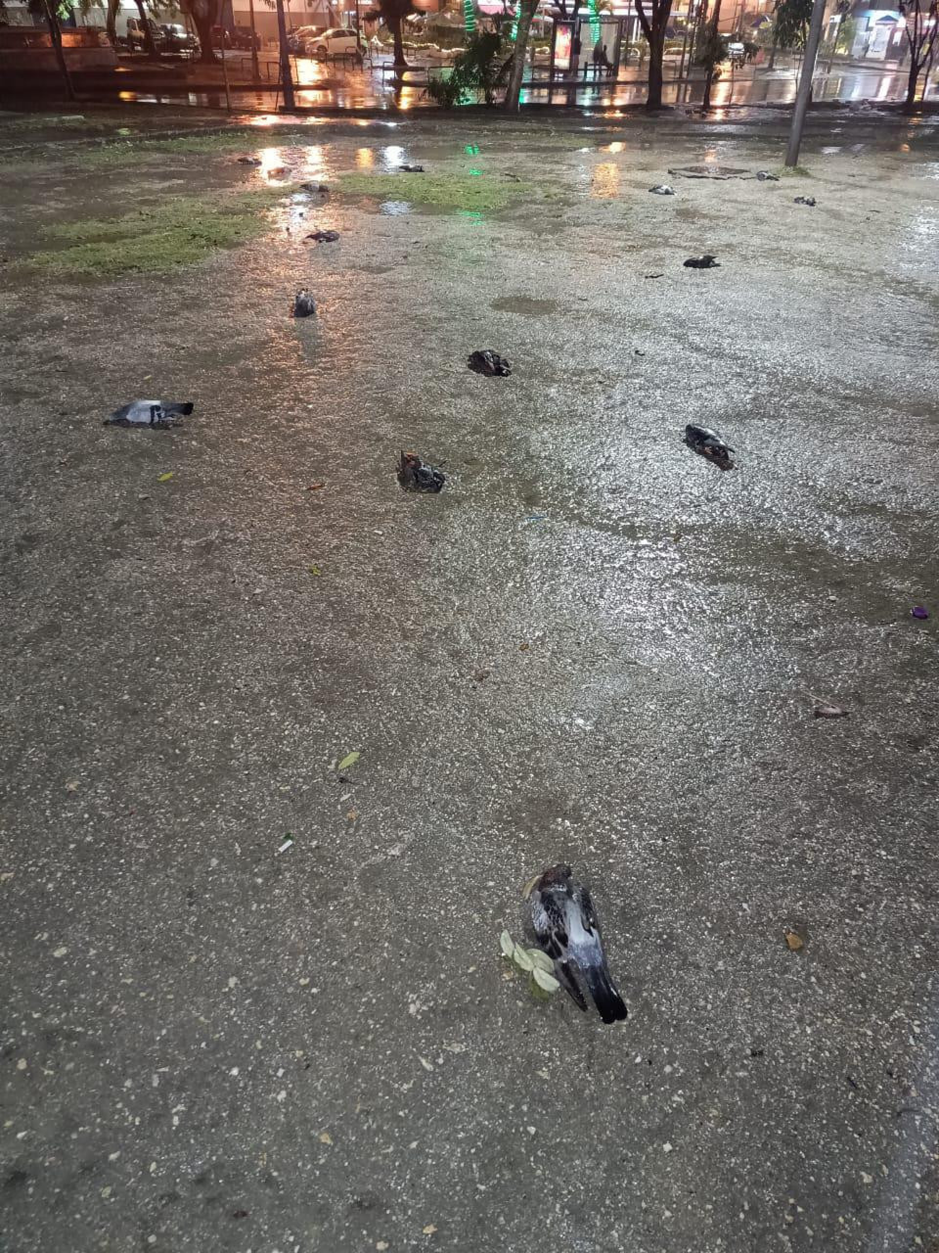 Caso aconteceu no Largo da Glória, na região central do Rio