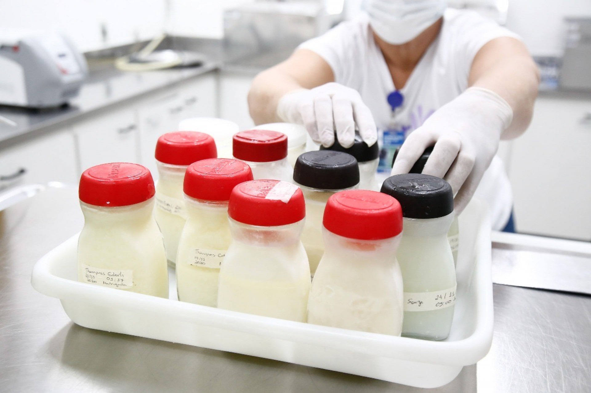 Separação do leite para doação - Divulgação