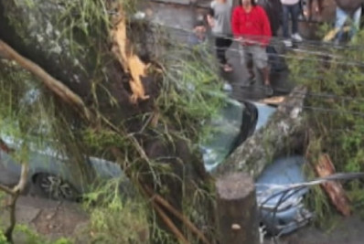 Árvore cai e atinge dois veículos no Grajaú