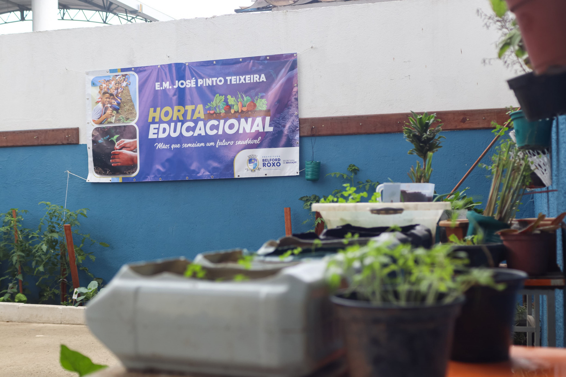 A horta educacional utiliza materiais recicláveis para fazer os recipientes onde fica as mudas

 - Jean Carlos / PMBR