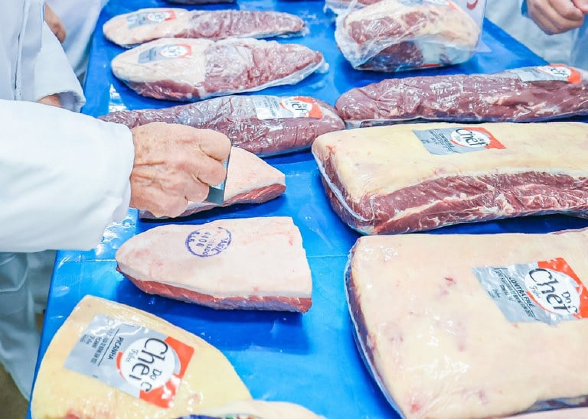 UE e Brasil esperam solucionar de forma breve veto à exportação de carne