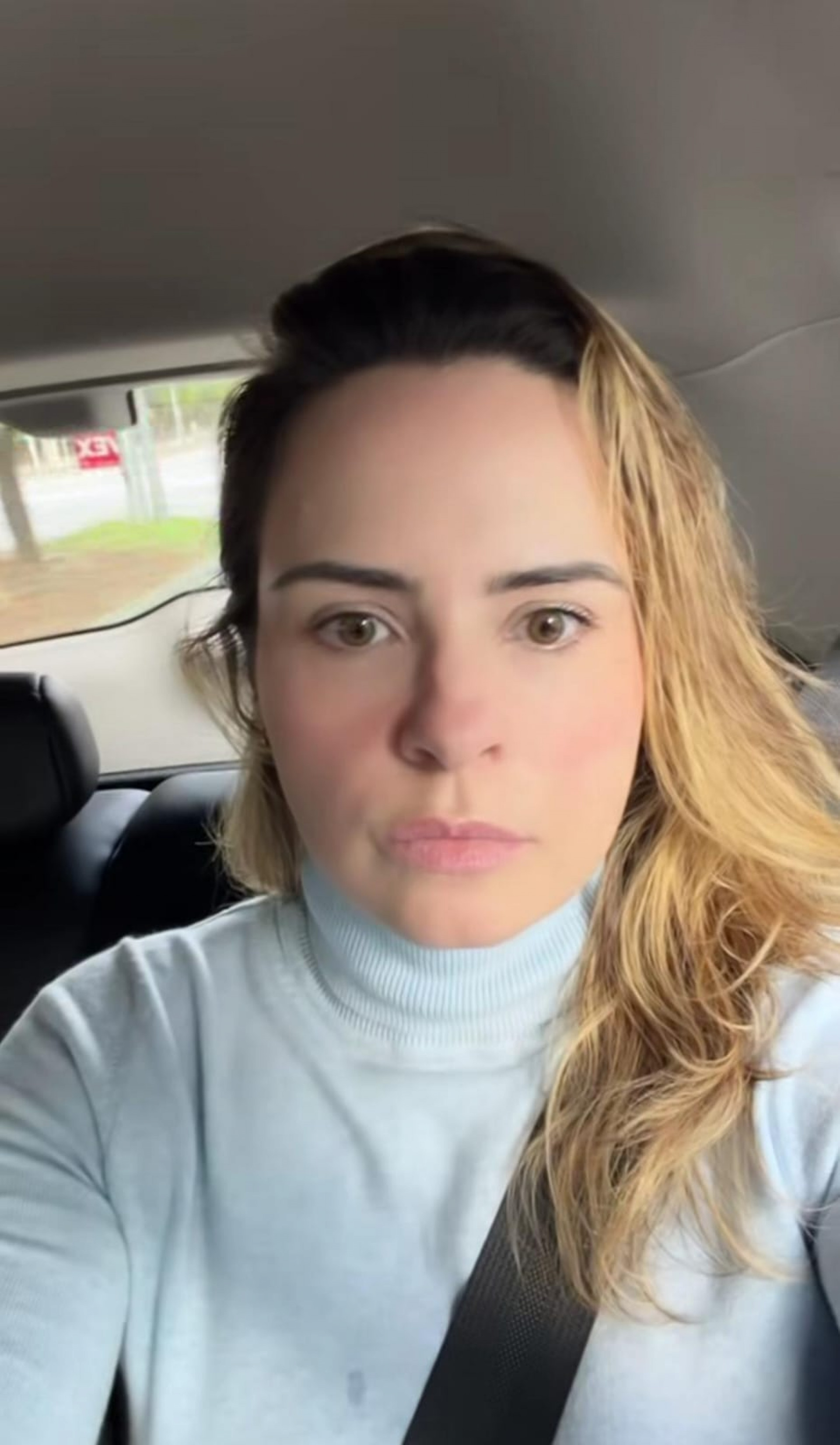Ana Paula Renault - Reprodução de vídeo / Instagram
