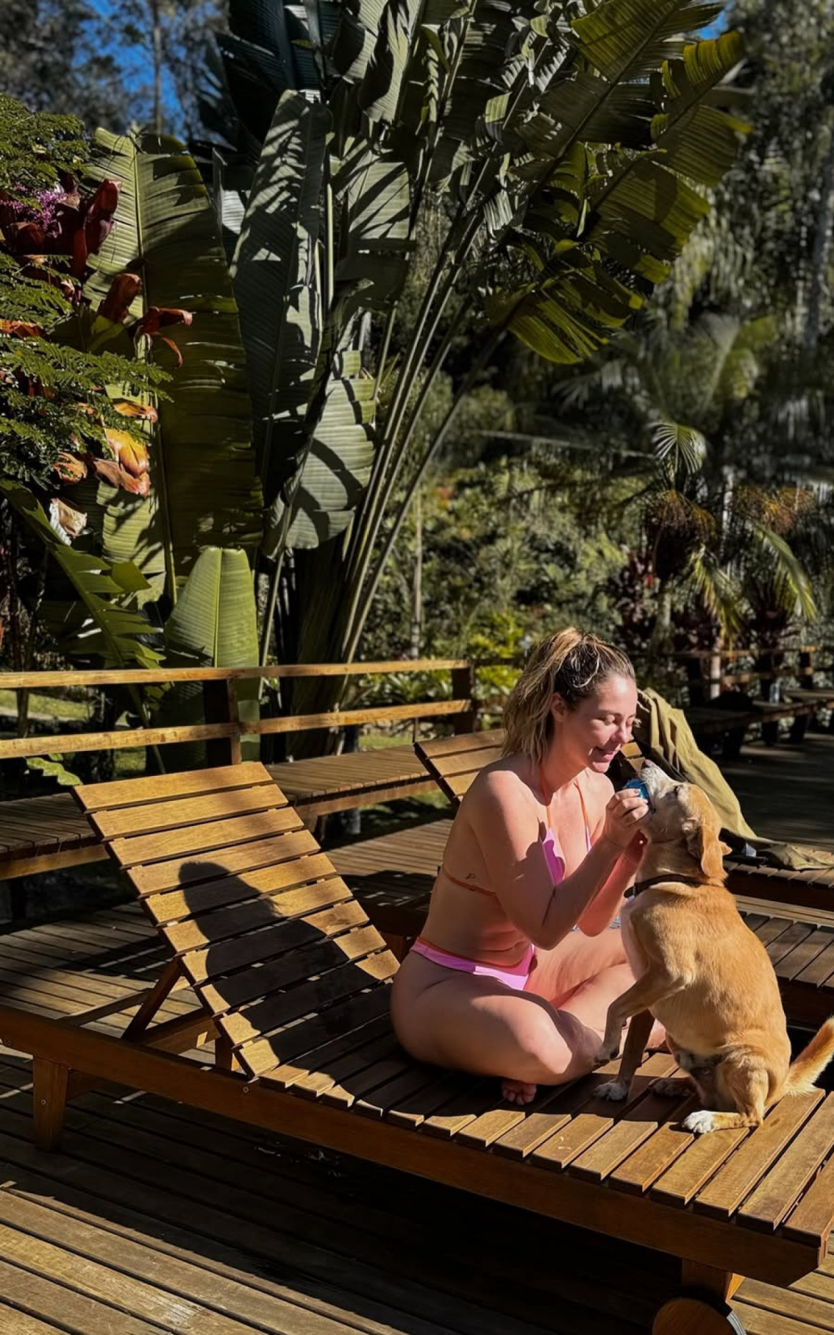 Paolla Oliveira se diverte com cachorro enquanto pega sol - Reprodução/Instagram