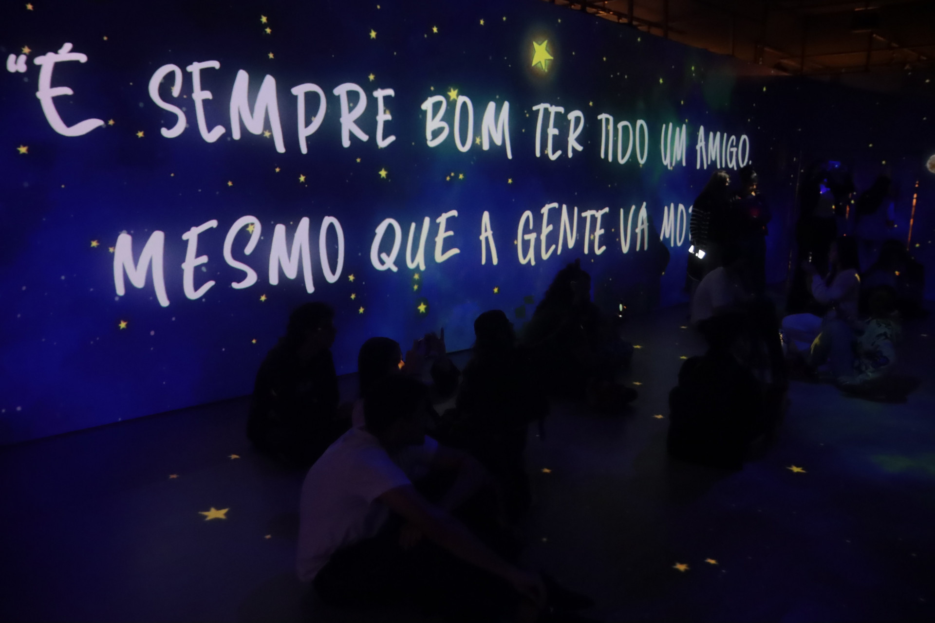 Exposição com entrada gratuita fica em cartaz até agosto  - Leonardo Ferraz