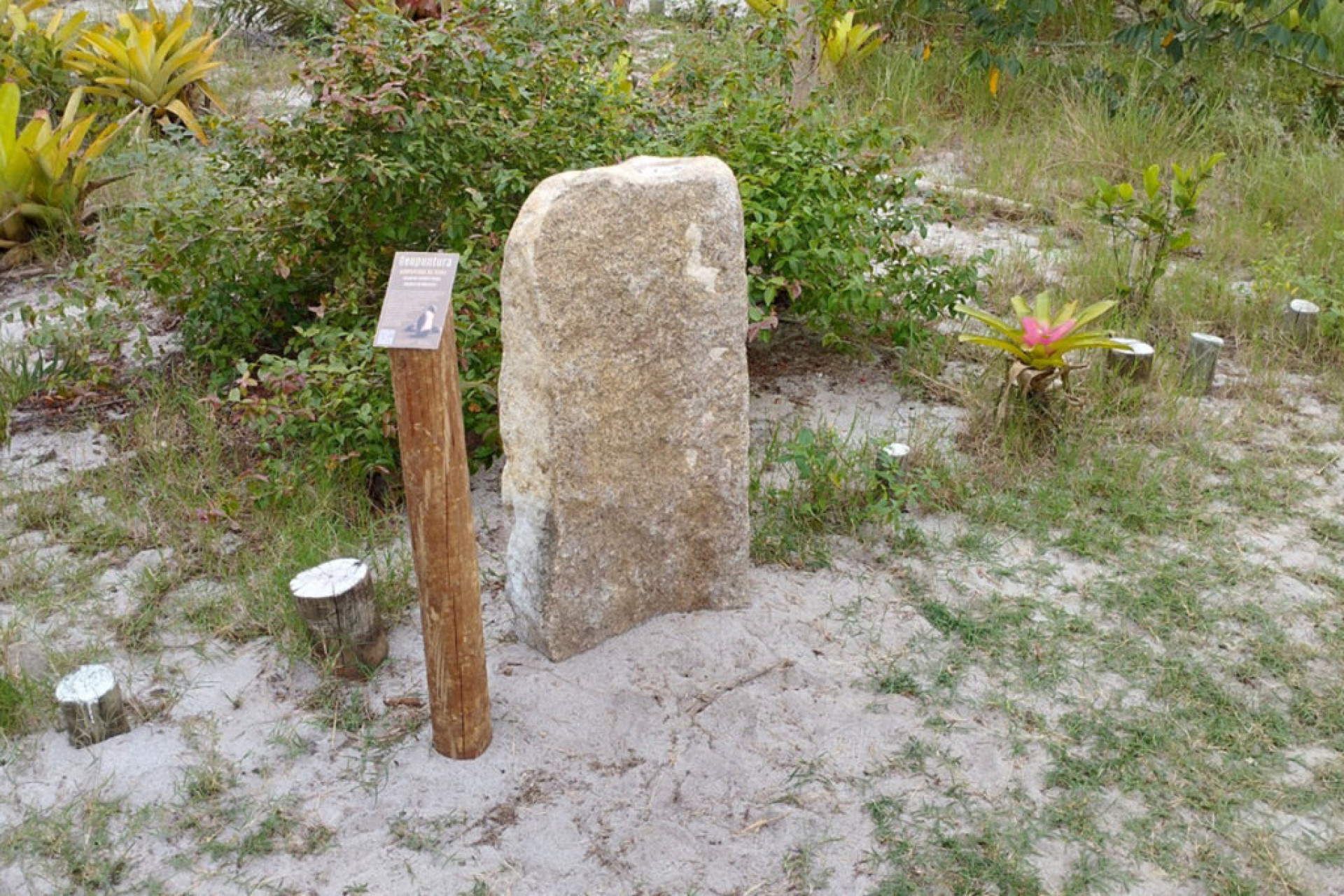 Acupuntura para a Terra? Entenda o que é Geopuntura e os seus efeitos