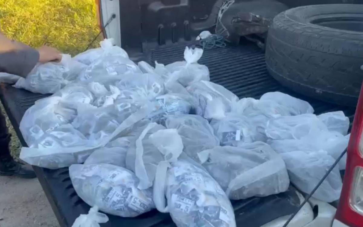 Drogas apreendidas com traficante que fingia ser pescador - Divulgação