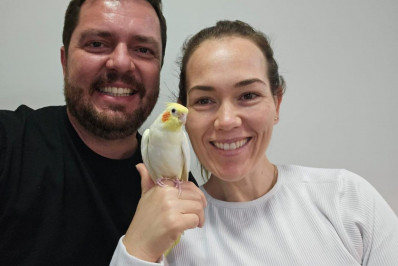 Pássaros de estimação precisam de proteção no inverno