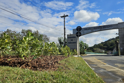 Secretaria de Meio Ambiente revitaliza canteiros e praças em Três Rios