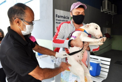Vacinação antirrábica acontece em dois bairros de Resende neste sábado