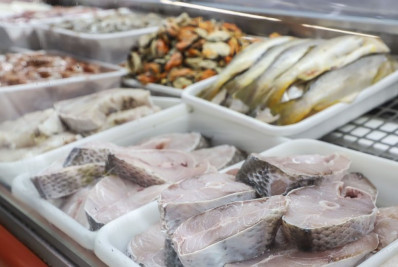 Tarifa EUA: Associação de pescado cobra governo por retomada de exportação para UE como alternativa