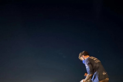 Caso inusitado em Búzios: cerca de 20 golfinhos encalham e dois morrem na Praia de Manguinhos