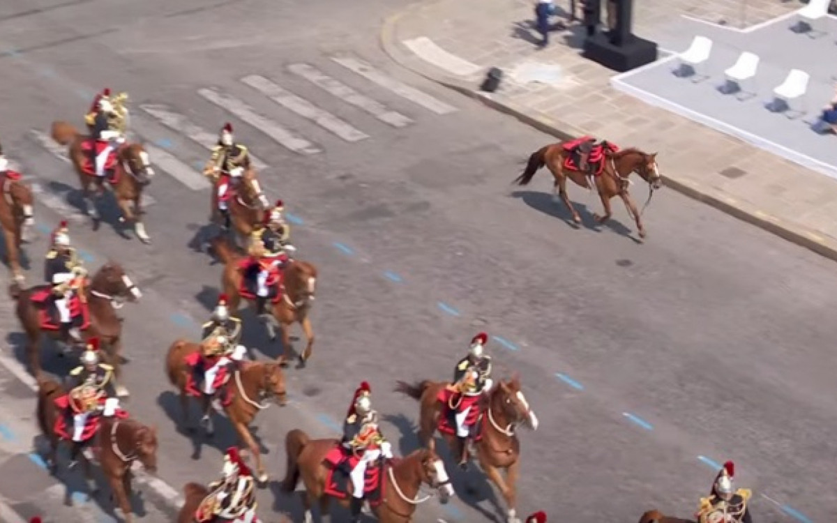 Cavalo \'sem dono\' se afasta durante desfile