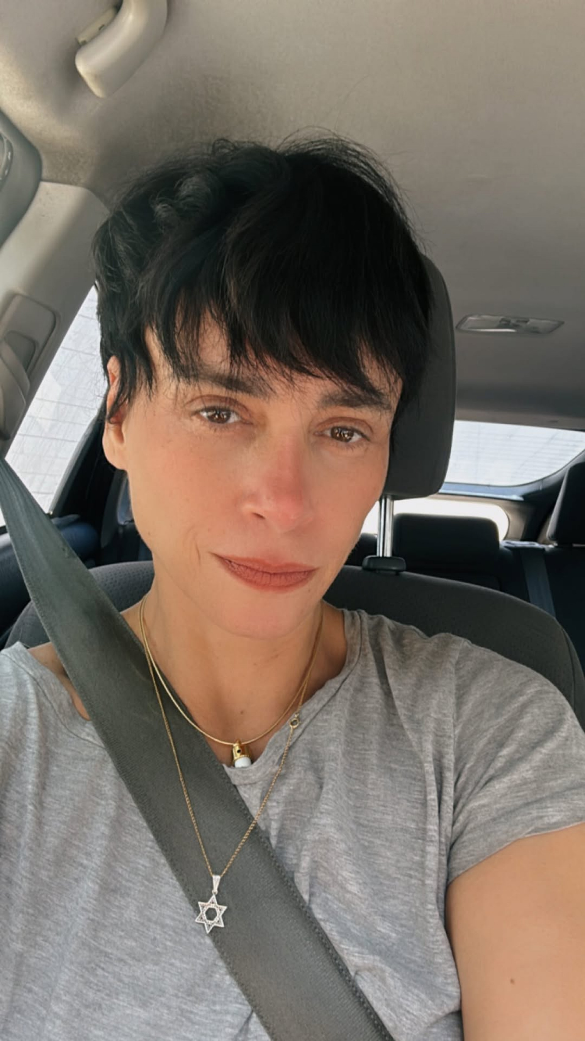 Suzana Pires - Reprodução / Instagram